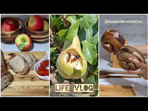 Видео: Домашняя рутина | Рецепт из перца | Daily routines | Motivation 