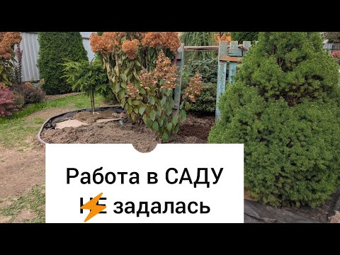 Видео: 4 октября 2025 Обзор сада/Подготовка сада к зиме/Пересадки/Деление растений 