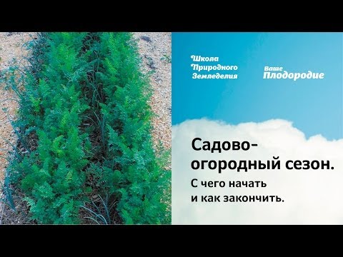 Видео: Садово-огородный сезон. С чего начать и как закончить