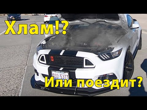 Видео: Mustang Ecoboost 2.3 Хлам!?Или еще поживет?Мустанг на розыгрыш
