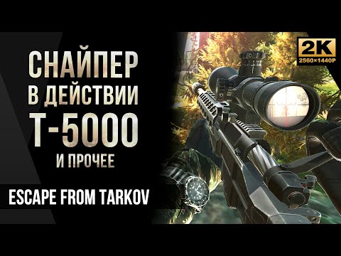 Видео: Снайпер в действии Т-5000 • Escape from Tarkov №63 [2K]