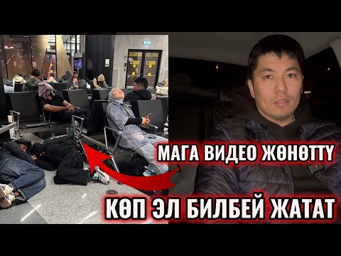 Видео: КӨП ЭЛ БИЛБЕЙ КЫЙНАЛЫП ЖАТАТ! САК БОЛГУЛАЧЫ 😣