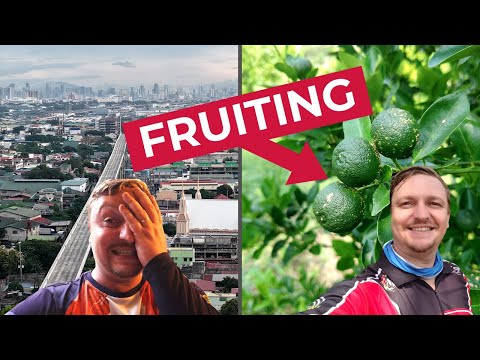 Видео: Терпеть не могу городскую жизнь на Филиппинах... Возвращаюсь на ферму!