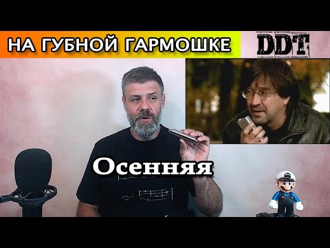Видео: Осенняя песня на губной гармошке (кавер ДДТ)