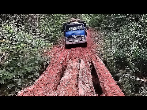 Видео: Навыки водителя большегрузного лесовоза, КАМАЗ, PACIFIC, OSHKOSH, IVECO, VOLKSWAGEN, DAC, MAN