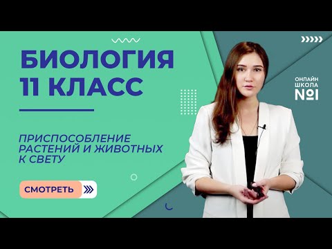 Видео: Приспособления к действию экологических факторов: свет. Видеоурок 25. Биология 11 класс