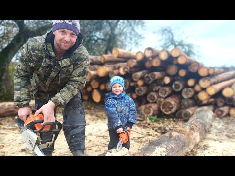 Видео: Сезон заготовки дров открыт. Посадка озимого чеснока