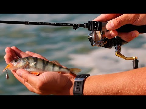 Видео: СПИННИНГ ДЛЯ МИКРОДЖИГА ЗА 1 ТЫС. РУБ. ЛОВЛЯ ОКУНЯ, ПОКЛЕВКИ НА КАЖДОМ ЗАБРОСЕ!!!