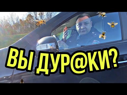 Видео: Хотел полечить, да сам захворал ⛔️🐝 Агрессия зашкаливает!