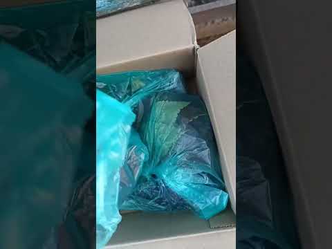 Видео: Пополнение коллекции #1часть 