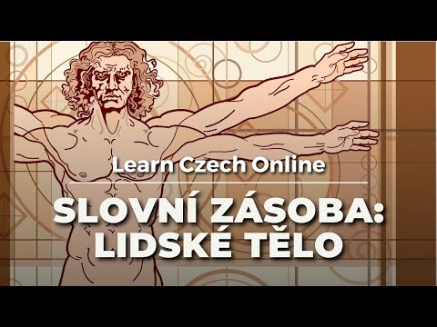 Видео: Чешская лексика: Тело человека