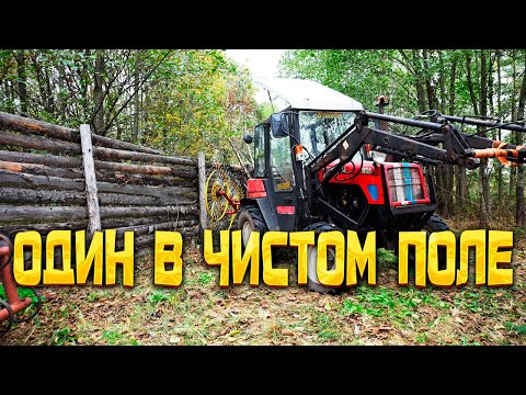 Видео: Продолжаю поднимать чистое поле в ферму мечты