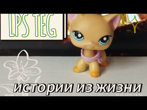 Видео: LPS : TEG истории из жизни (да да мои реал истории + ролик к 50 подписчикам ) #lpstubeжив