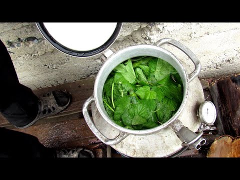 Видео: Засолка огурцов, рецепт от Яшки...