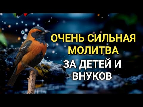 Видео: МОЩНАЯ МОЛИТВА ЗА ДЕТЕЙ И ВНУКОВ СОХРАНИ ЭТУ МОЛИТВУ И ЧИТАЙ КАЖДЫЙ ДЕНЬ УТРОМ И ВЕЧЕРОМ 🤲✨💯