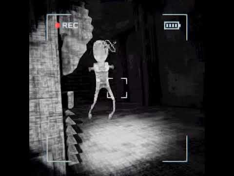 Видео: Веселое выживание №3