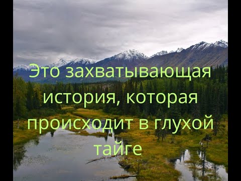 Видео: "Это захватывающая история, которая происходит в глухой тайге.