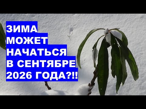 Видео: ШОК! Зима Может Начаться в Сентябре 2026 года?!!