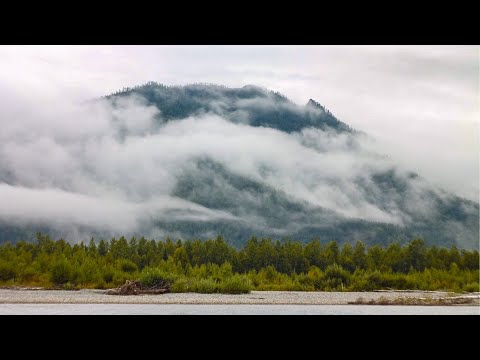 Видео: Уймонская долина Усть-Коксинский район Алтай Катунь