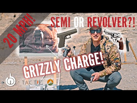 Видео: ЛУЧШАЯ ЗАЩИТА ОТ МЕДВЕДЯ ГРИЗЛИ