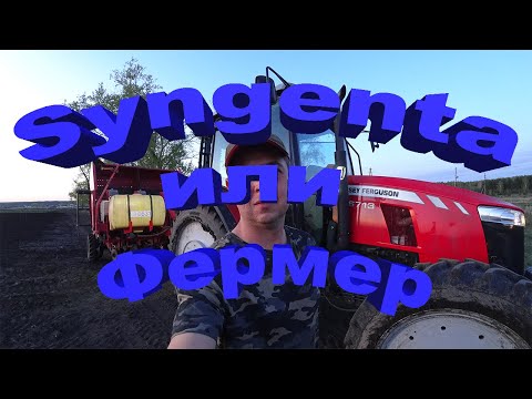 Видео: Syngenta против моей схемы защиты картофеля. Кто кого