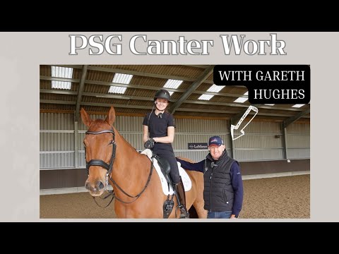 Видео: Как ездить на PSG Canter Work with Gareth Hughes