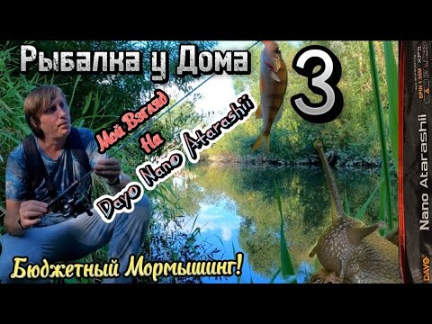Видео: Рыбалка у Дома 3 | Мой Взгляд на Dayo Nano Atarashii | Бюджетный Мормышинг