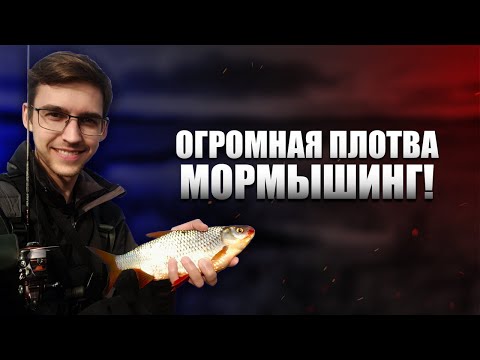 Видео: Огромная плотва на мормышинг