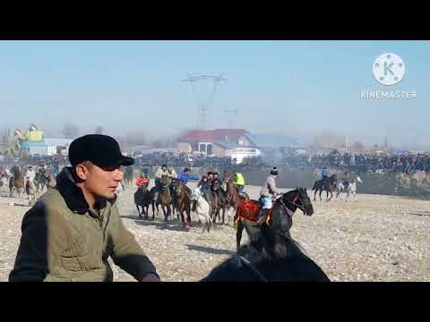 Видео: Бузкаши Далёни поён кисми 2 20.01.24