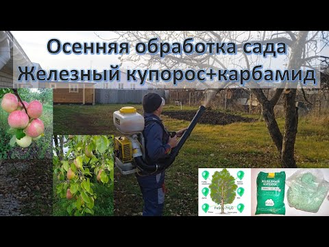 Видео: Осенняя обработка сада. Железный купорос + карбамид.