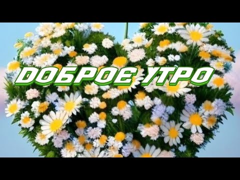 Видео: Доброе утро. Желаю  удачи. У тебя  все получится.