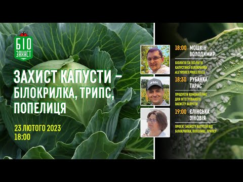 Видео: Вебінар №2 Захист капусти