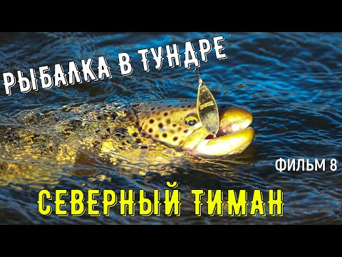 Видео: ✅ЛОВЛЯ КУМЖИ НА СПИННИНГ в походе на РЕКЕ В ТУНДРЕ| СЕВЕРНЫЙ ТИМАН