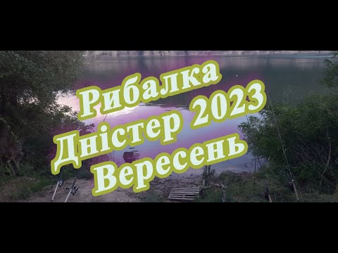 Видео: Рибалка Дністер Рогізна 2023 Вересень.