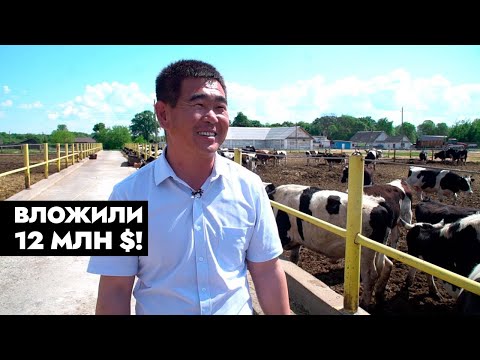 Видео: Китаец возродил старую ферму под Борисовом – вложили 12 млн долларов!