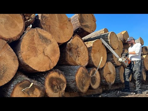 Видео: Самое БЕЗУМНОЕ испытание бензопилы на YouTube — STIHL к такому не была готова
