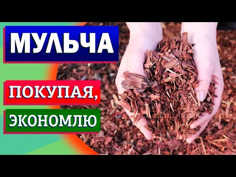 Видео: Мульчирование корой. Реальная экономия!