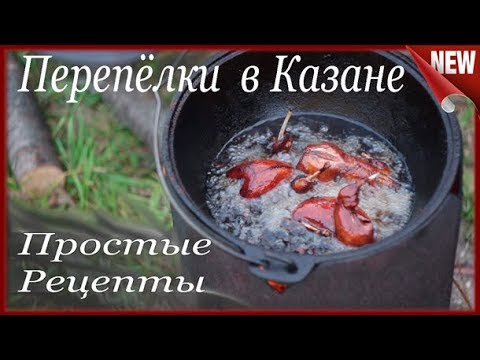 Видео: Перепела жареные в масле, на Костре в Казане.  Простые рецепты. Перепёлки жареные, во Фритюре.