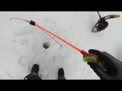 Видео: Рыбалка в Эвенкии.Отличный клёв.. (4..