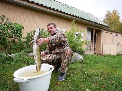 Видео: Щука без костей!? Это легко! Жареное филе в остром соусе!