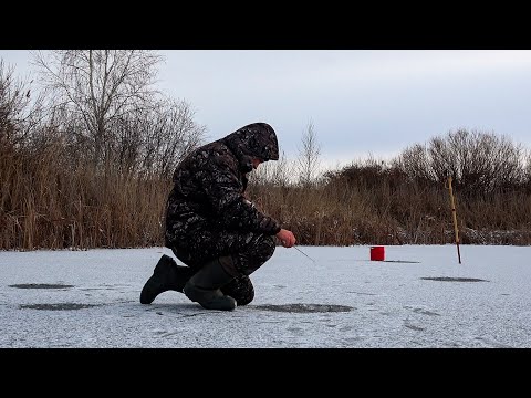 Видео: Первый лёд 2025-2026!! Всё ТРЕЩИТ, ХРУСТИТ, но КЛЮЁТ!! Рыбалка по ПЕРВОМУ ЛЬДУ!!