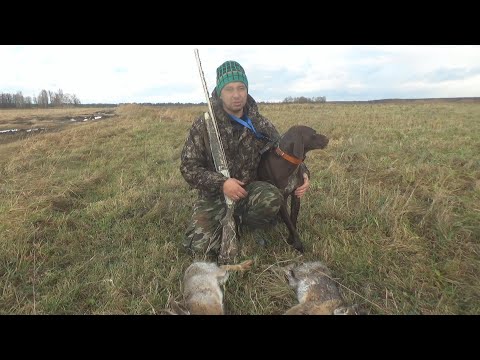 Видео: ГДЕ ИСКАТЬ ЗАЙЦА В НЕПОГОДУ??? ОХОТА НА ЗАЙЦА !!! СЫРОВЯЛЕННАЯ КОЛБАСА ИЗ ЗАЙЧАТИНЫ ЧАСТЬ 1