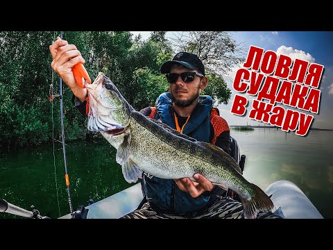 Видео: Ловля судака в жару | Narval Argument в деле | Я попал на летнюю раздачу судака | Лучшие приманки