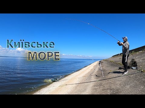 Видео: Карасі чуть не вкрали фідер🤯🤯🤯. Рибалка 🎣🎣🎣 на Київському морі #fishing #рибалка #риболовля