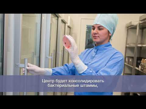 Видео: Производство препаратов бактериофагов