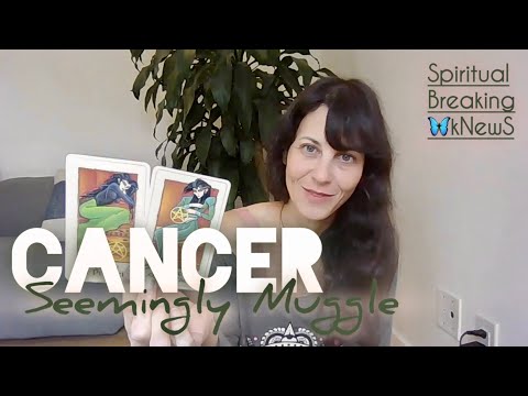 Видео: РАК ~ Этот «заблуждение» оказывается РЕАЛЬНЫМ, и пространство, которое вы для него отводите, буде...