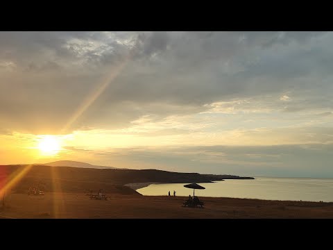 Видео: Какви са признаците че някой е психопат