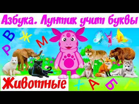 Видео: Названия животных - учим русский алфавит / Лунтик