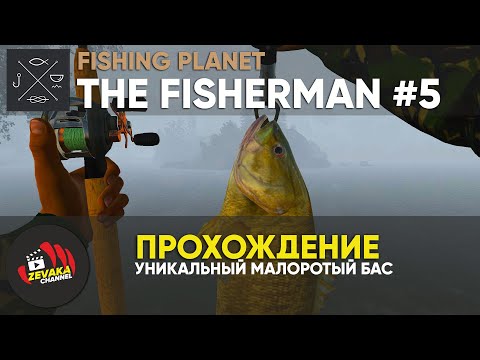Видео: УНИКАЛЬНЫЙ МАЛОРОТЫЙ БАСС - ПРОХОЖДЕНИЕ THE FISHERMAN: FISHING PLANET #5