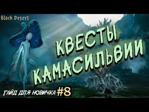Видео: №8 Свитки Удачи, Снаряжение на транспорт, Квесты камасильвии Гайд для новичка в Black Desert 2023